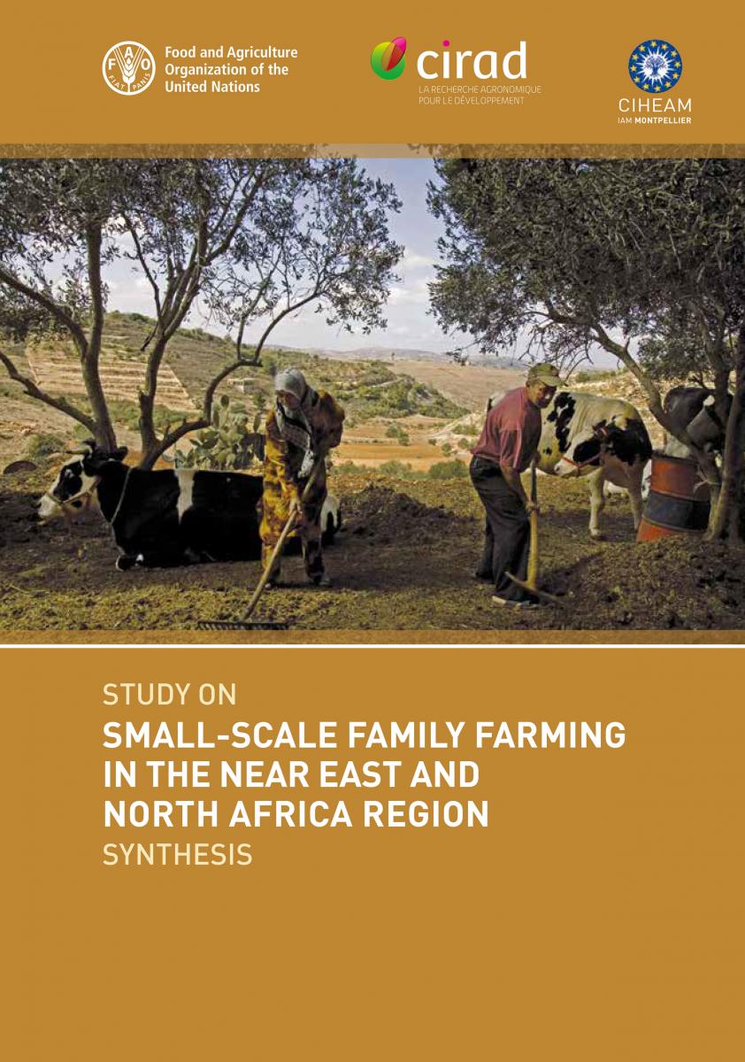 الزراعة الأسرية الصغيرة النطاق في منطقة الشرق الأدنى وشمال أفريقيا