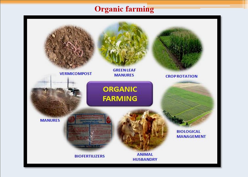 Organic Farming