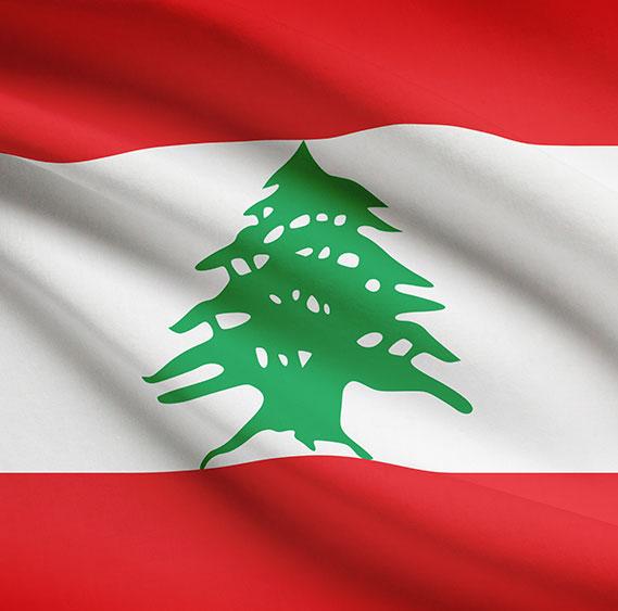 NGOs and CBOs in Lebanon