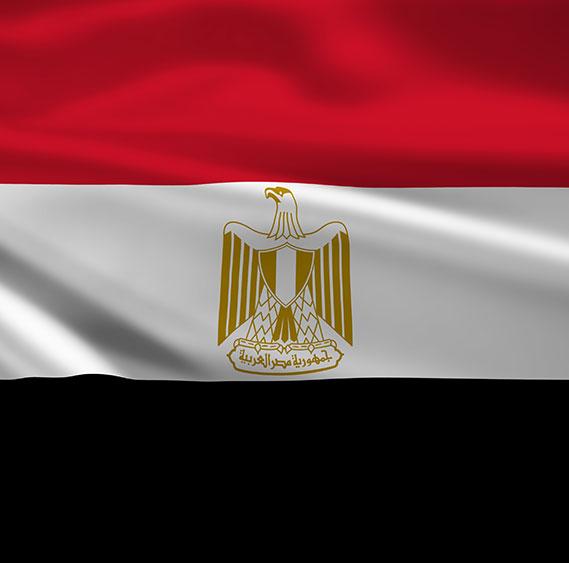 NGOs and CBOs in EGYPT