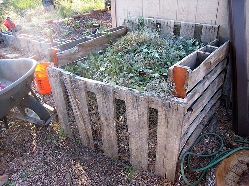Composting Unit at Home